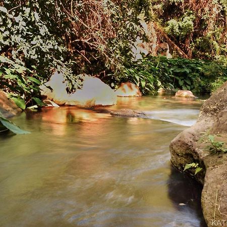 L'Abri-Cotier A 150M De La Plage De Boucan แซ็งต์-จีลส์-เลส์-แบ็งส์ ภายนอก รูปภาพ