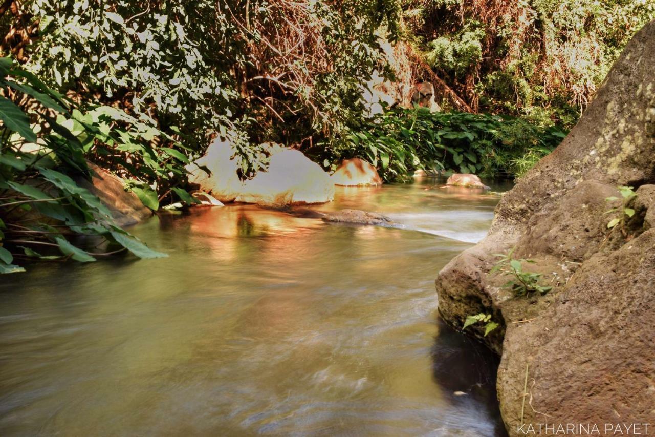 L'Abri-Cotier A 150M De La Plage De Boucan แซ็งต์-จีลส์-เลส์-แบ็งส์ ภายนอก รูปภาพ